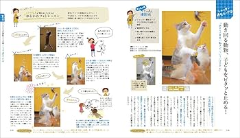 はじめてのデジタル一眼 撮り方超入門 いちばんていねいでわかりやすい いちばんていねいでわかりやすい はじめてのデジタル一眼 撮り方